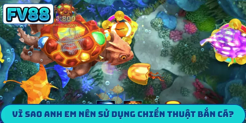 Vì sao anh em nên sử dụng chiến thuật bắn cá?